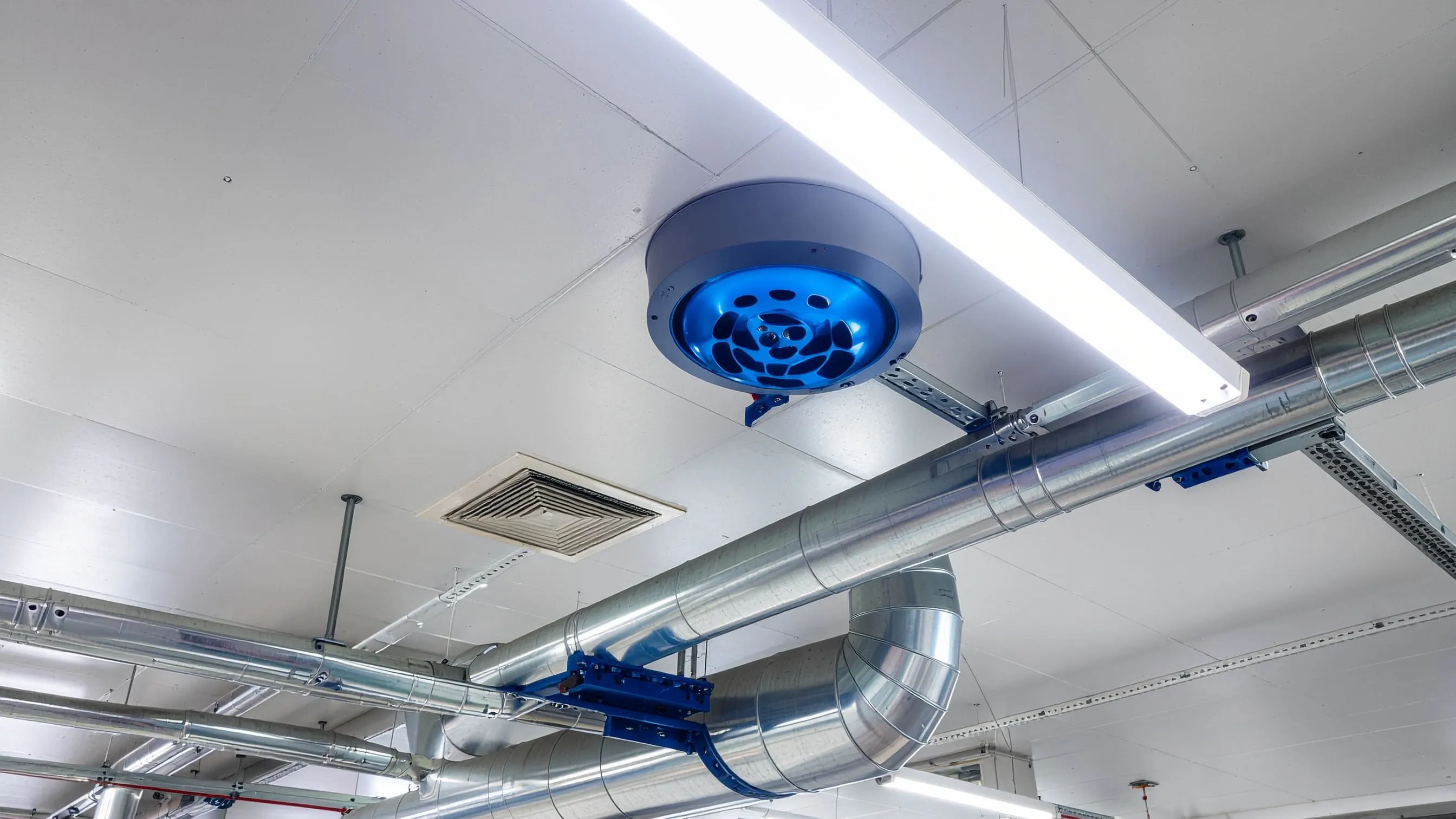 How to Identify and Address Gas Leaks in Commercial Plant Rooms