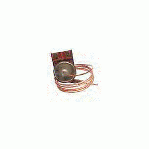 Glow Worm Overheat Stat 800272